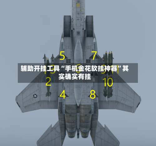 辅助开挂工具“手机金花软挂神器”其实确实有挂-第2张图片