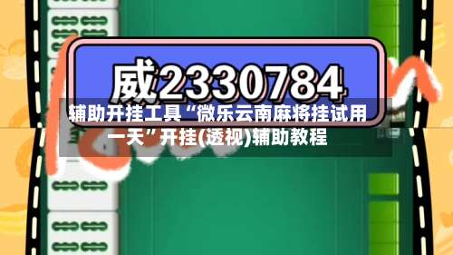 辅助开挂工具“微乐云南麻将挂试用一天”开挂(透视)辅助教程-第3张图片