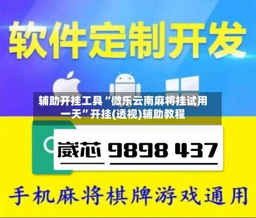 辅助开挂工具“微乐云南麻将挂试用一天”开挂(透视)辅助教程-第2张图片