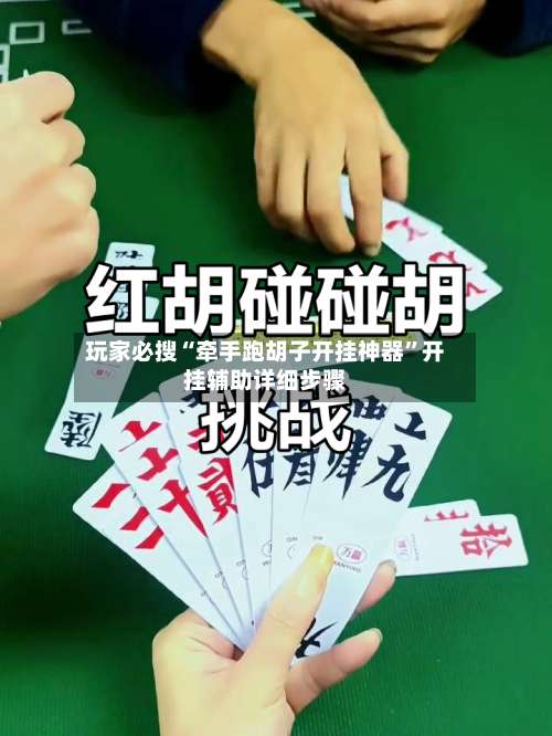 玩家必搜“牵手跑胡子开挂神器”开挂辅助详细步骤-第3张图片