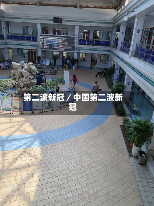 第二波新冠／中国第二波新冠-第1张图片