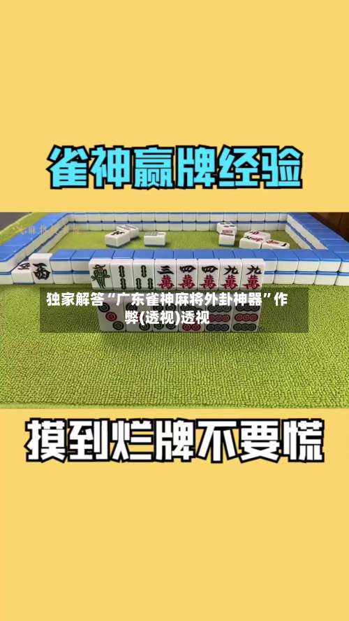 独家解答“广东雀神麻将外卦神器”作弊(透视)透视-第3张图片