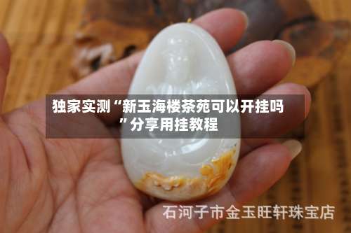 独家实测“新玉海楼茶苑可以开挂吗	”分享用挂教程-第1张图片