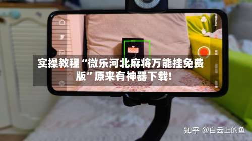 实操教程“微乐河北麻将万能挂免费版”原来有神器下载!-第2张图片