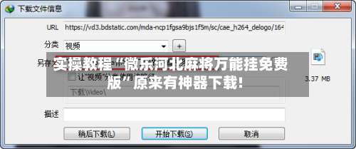 实操教程“微乐河北麻将万能挂免费版”原来有神器下载!-第3张图片