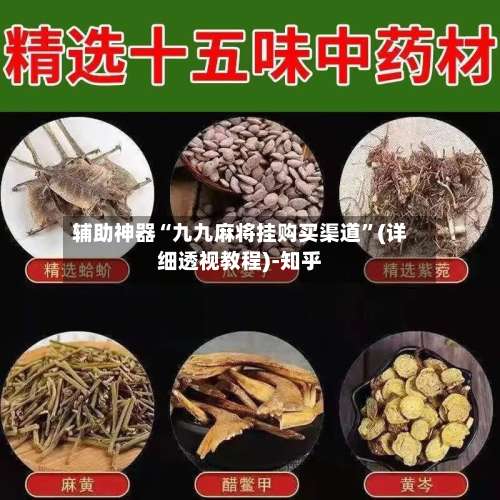 辅助神器“九九麻将挂购买渠道”(详细透视教程)-知乎-第3张图片