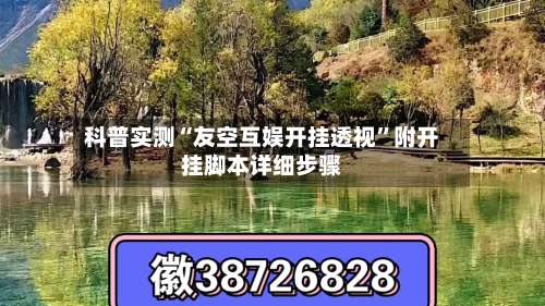 科普实测“友空互娱开挂透视	”附开挂脚本详细步骤-第1张图片