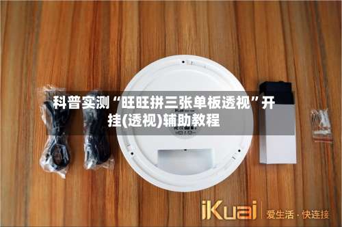 科普实测“旺旺拼三张单板透视”开挂(透视)辅助教程-第3张图片