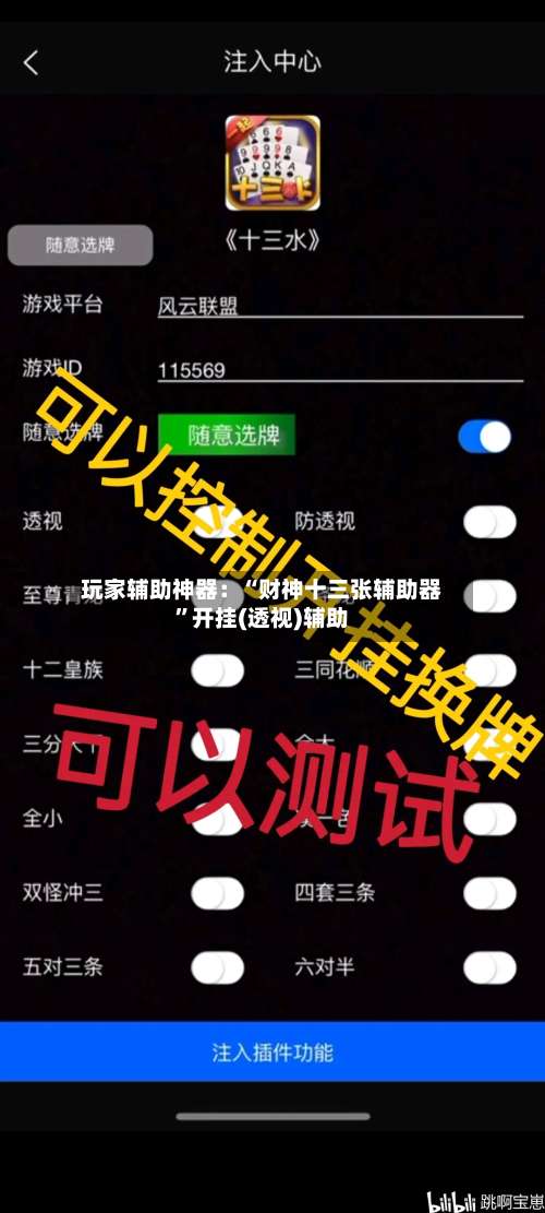 玩家辅助神器：“财神十三张辅助器”开挂(透视)辅助-第2张图片