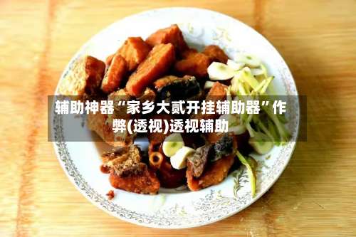 辅助神器“家乡大贰开挂辅助器	”作弊(透视)透视辅助-第1张图片