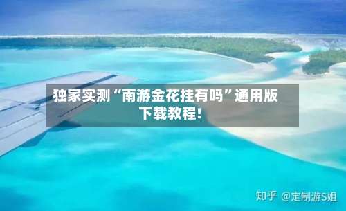 独家实测“南游金花挂有吗”通用版下载教程!-第2张图片