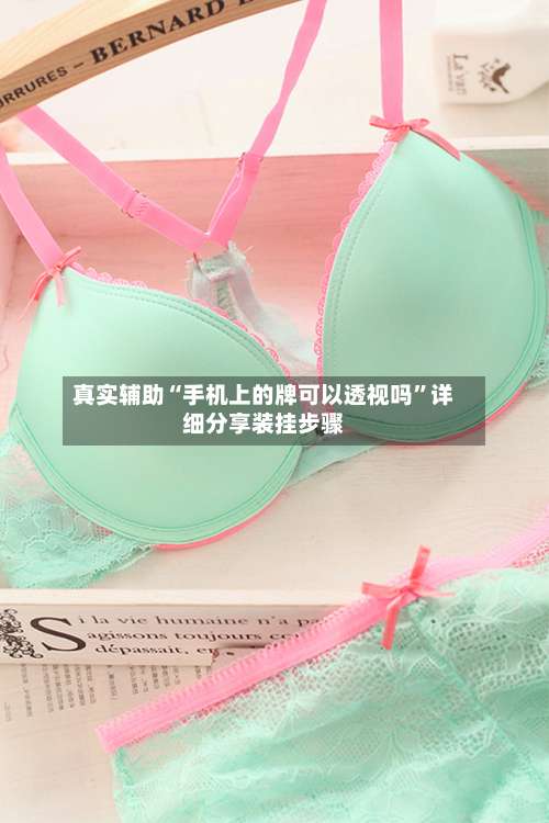 真实辅助“手机上的牌可以透视吗”详细分享装挂步骤-第2张图片