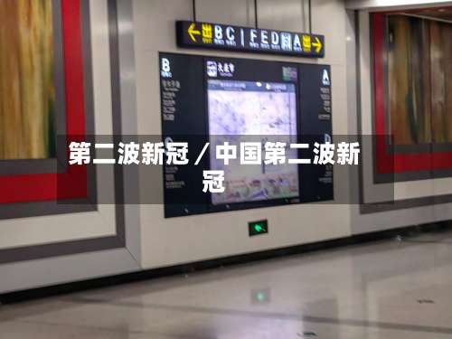 第二波新冠／中国第二波新冠-第2张图片