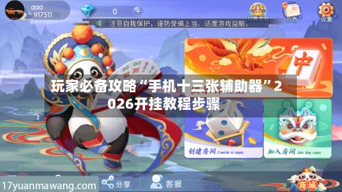 玩家必备攻略“手机十三张辅助器	”2026开挂教程步骤-第2张图片