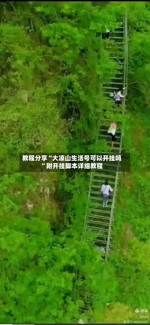 教程分享“大凉山生活号可以开挂吗”附开挂脚本详细教程-第1张图片