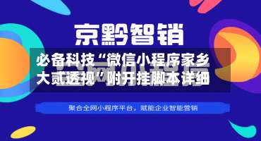 必备科技“微信小程序家乡大贰透视”附开挂脚本详细-第1张图片