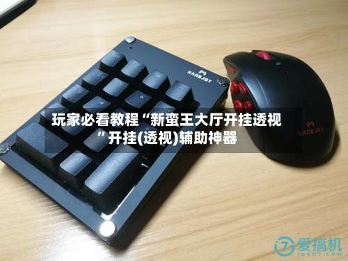 玩家必看教程“新蛮王大厅开挂透视	”开挂(透视)辅助神器-第2张图片