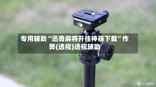 专用辅助“迅奇麻将开挂神器下载	”作弊(透视)透视辅助-第1张图片