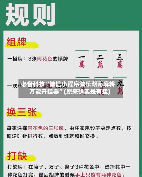 必备科技“微信小程序微乐湖南麻将万能开挂器”(原来确实是有挂)-第1张图片