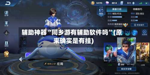 辅助神器“同乡游有辅助软件吗	”(原来确实是有挂)-第1张图片