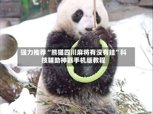 强力推荐“熊猫四川麻将有没有挂”科技辅助神器手机版教程-第1张图片