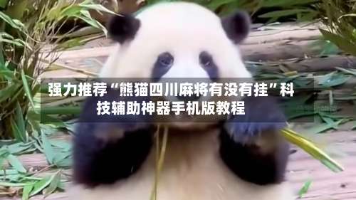 强力推荐“熊猫四川麻将有没有挂	”科技辅助神器手机版教程-第2张图片