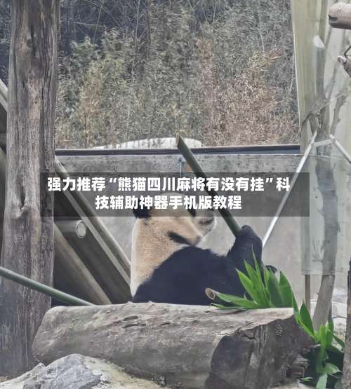 强力推荐“熊猫四川麻将有没有挂”科技辅助神器手机版教程-第3张图片