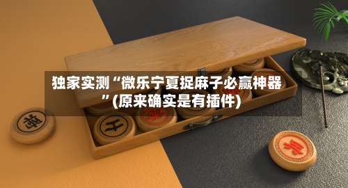 独家实测“微乐宁夏捉麻子必赢神器”(原来确实是有插件)-第2张图片