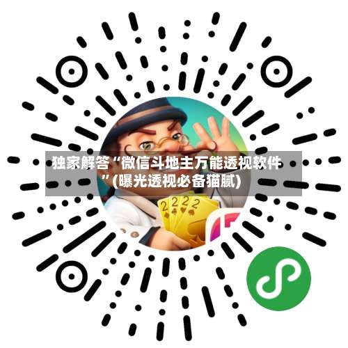 独家解答“微信斗地主万能透视软件	”(曝光透视必备猫腻)-第1张图片