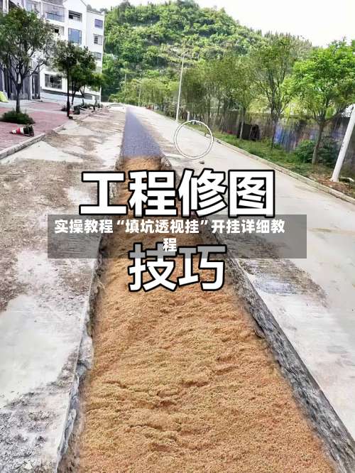 实操教程“填坑透视挂”开挂详细教程-第2张图片