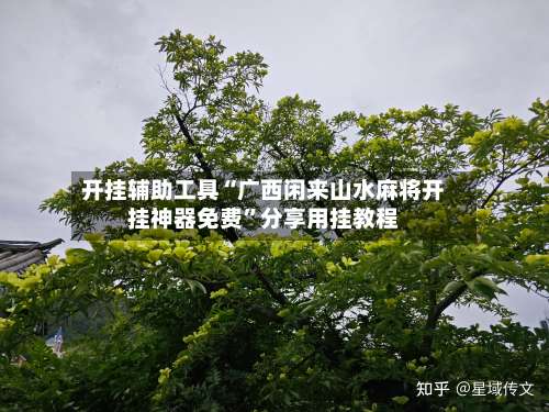 开挂辅助工具“广西闲来山水麻将开挂神器免费	”分享用挂教程-第1张图片