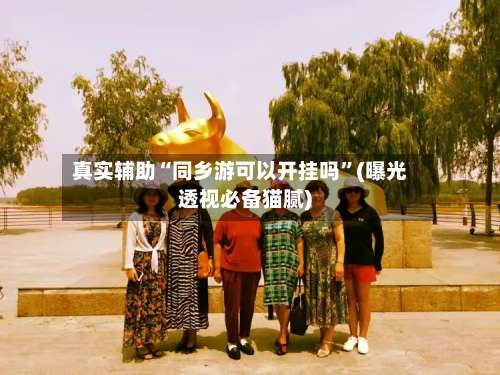 真实辅助“同乡游可以开挂吗”(曝光透视必备猫腻)-第3张图片