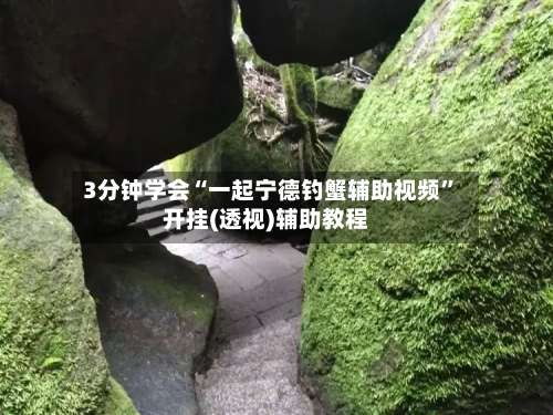 3分钟学会“一起宁德钓蟹辅助视频	”开挂(透视)辅助教程-第2张图片
