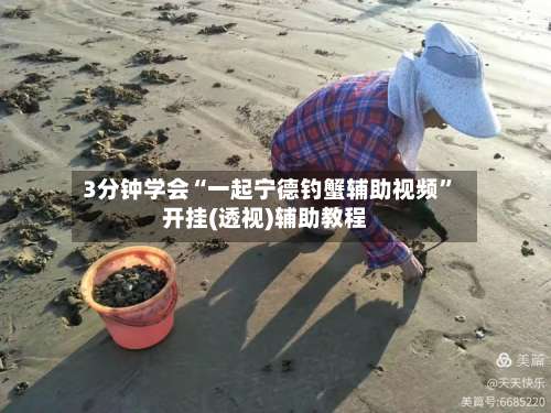 3分钟学会“一起宁德钓蟹辅助视频”开挂(透视)辅助教程-第1张图片