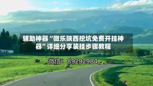 辅助神器“微乐陕西挖坑免费开挂神器”详细分享装挂步骤教程-第3张图片