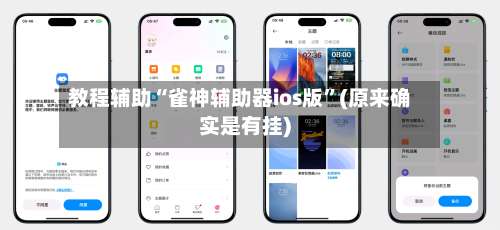 教程辅助“雀神辅助器ios版	”(原来确实是有挂)-第3张图片