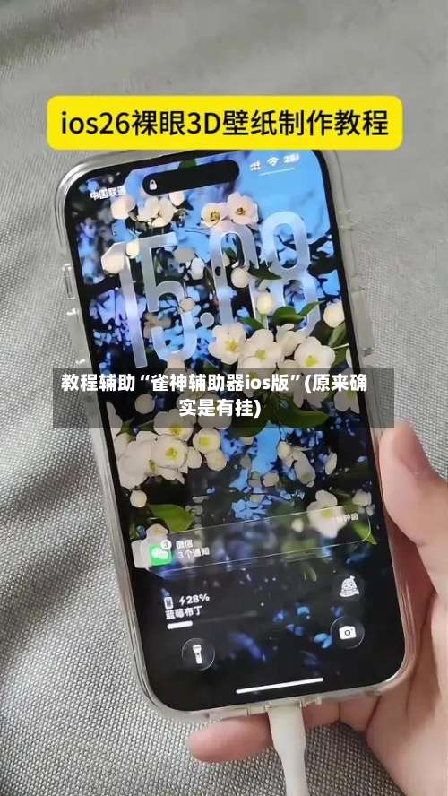 教程辅助“雀神辅助器ios版”(原来确实是有挂)-第2张图片