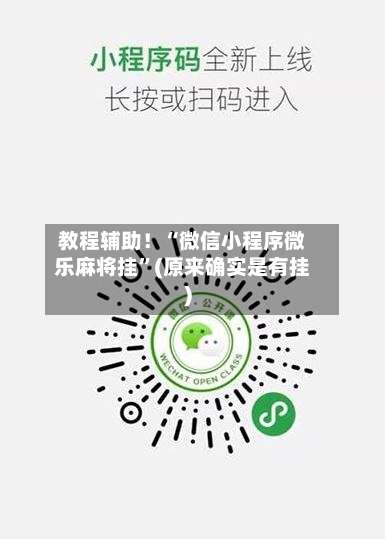 教程辅助！“微信小程序微乐麻将挂”(原来确实是有挂)-第1张图片