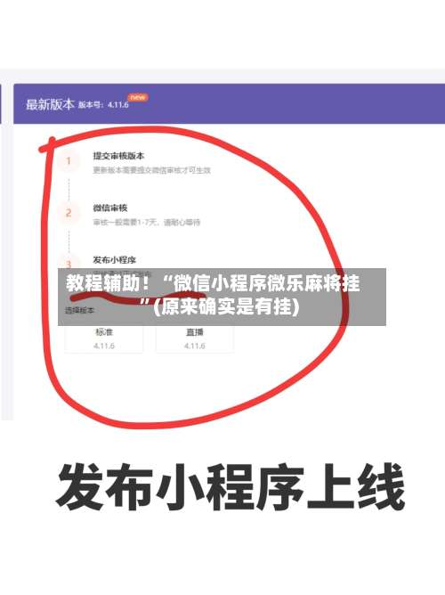 教程辅助！“微信小程序微乐麻将挂	”(原来确实是有挂)-第3张图片