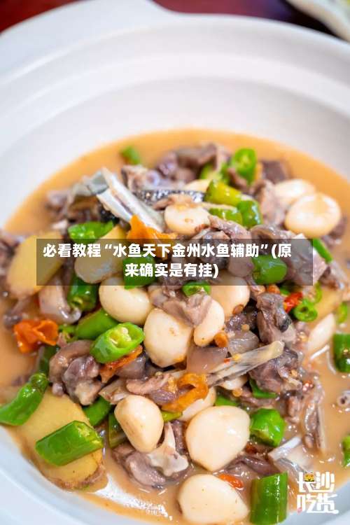 必看教程“水鱼天下金州水鱼辅助”(原来确实是有挂)-第2张图片