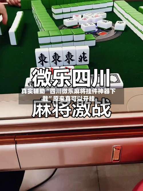 真实辅助“四川微乐麻将挂件神器下载	”原来真可以开挂-第1张图片
