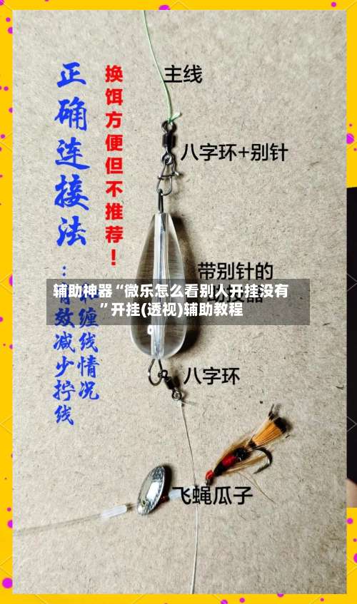 辅助神器“微乐怎么看别人开挂没有”开挂(透视)辅助教程-第1张图片