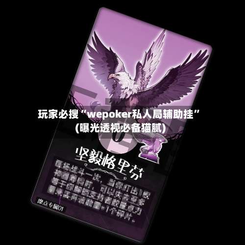 玩家必搜“wepoker私人局辅助挂”(曝光透视必备猫腻)-第2张图片