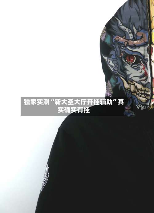 独家实测“新大圣大厅开挂辅助”其实确实有挂-第2张图片