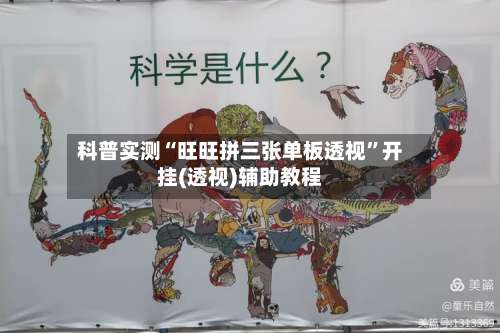 科普实测“旺旺拼三张单板透视”开挂(透视)辅助教程-第3张图片