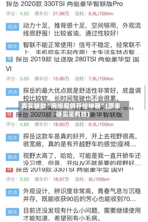 真实辅助“网络麻将开挂神器	”(原来确实是有挂)-第2张图片