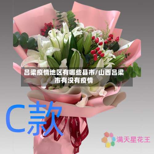 吕梁疫情地区有哪些县市/山西吕梁市有没有疫情-第1张图片