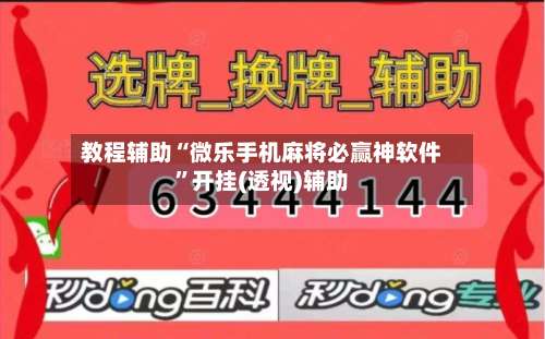 教程辅助“微乐手机麻将必赢神软件”开挂(透视)辅助-第2张图片
