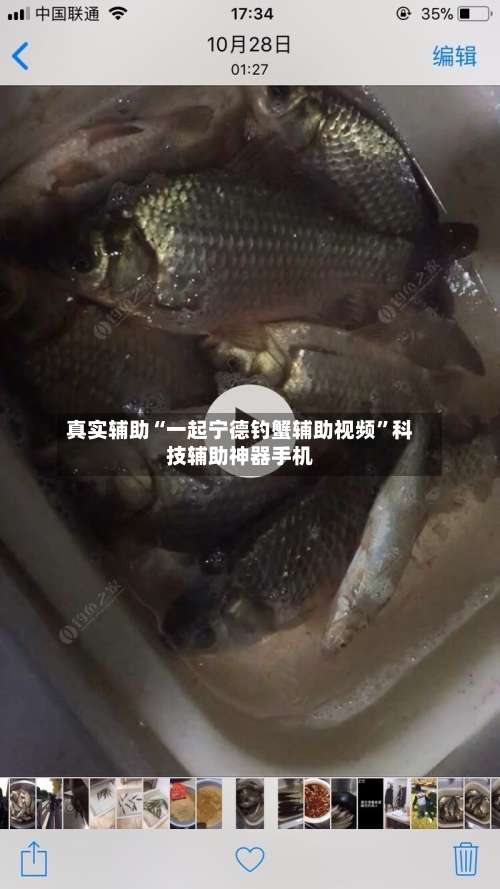 真实辅助“一起宁德钓蟹辅助视频	”科技辅助神器手机-第1张图片