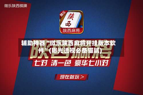 辅助神器“微乐陕西麻将开挂版本软件	”(曝光透视必备猫腻)-第1张图片